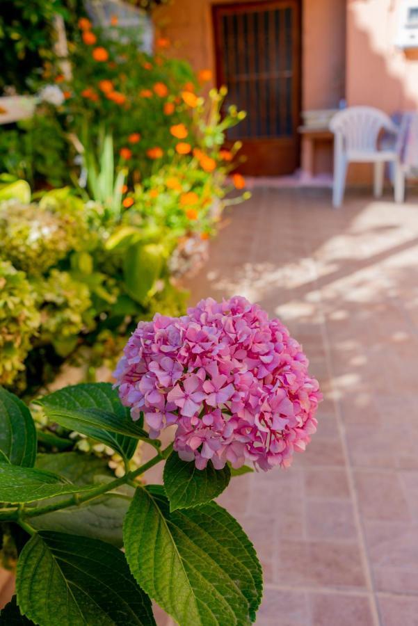 Valsamis Villa Apartments Poros  Bagian luar foto